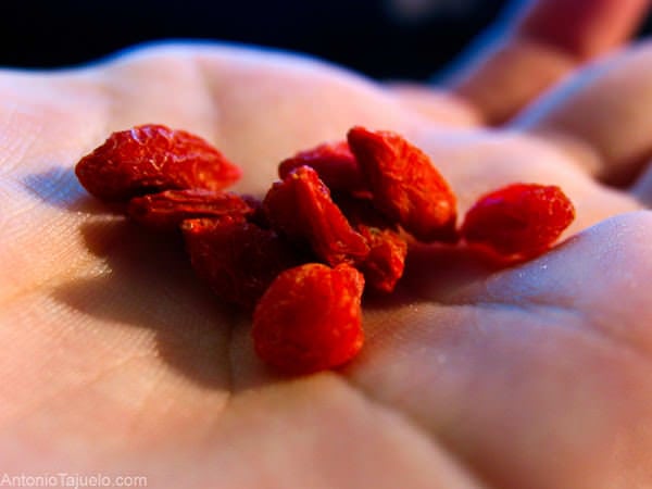 Goji – fructul longevității