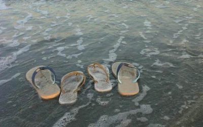 Romania mea. Litoralul meu.