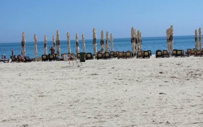 Ce-am mai descoperit pe #Litoralulmeu