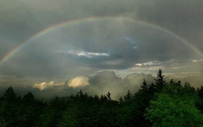 3 modalități prin care ne apropiem de natură
