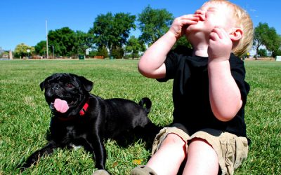 5 gustări sănătoase pentru copii