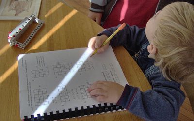 O româncă mutată în SUA a ales homeschooling