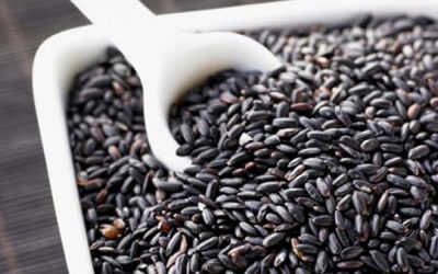 Orezul interzis sau orezul negru