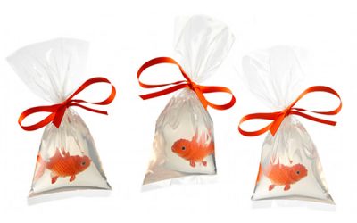 DIY: Săpun cu pește într-o pungă