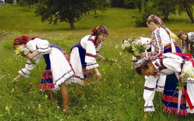 Sărbătorim Ziua Universală a Iei?