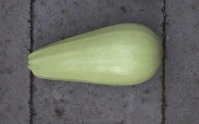 Dovlecelul sau sursa de potasiu și mangan mereu la îndemână