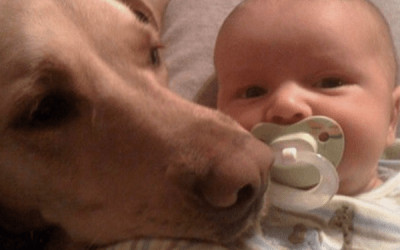 Cei mai buni prieteni [galerie foto]