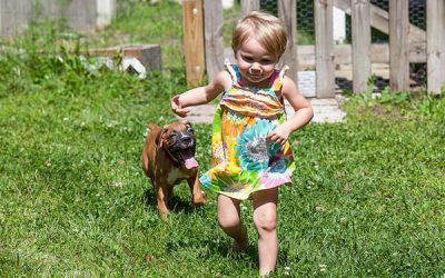 Eveniment dedicat cățeilor din familii