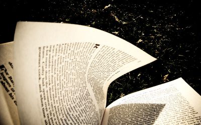 Invitații la lectură în parc