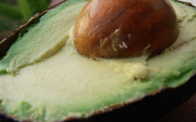 Cum gătim avocado pentru toată familia