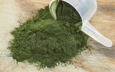 Spirulina – un ajutor pentru întreg organismul