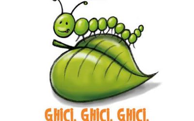 Ghici, ghici, ghici, ce voi desena aici? – Cărțile Lucia Muntean