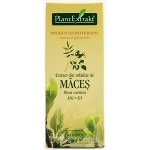 extract de maces