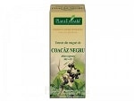extract de muguri de coacaz negru