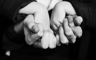 Vocea ridicată are aceleași efecte precum violența