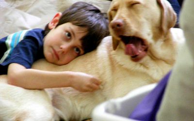 Mami, vreau un cățel (târg de adopții de câini)