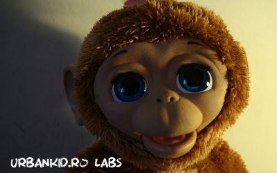 #pentrucă maimuță