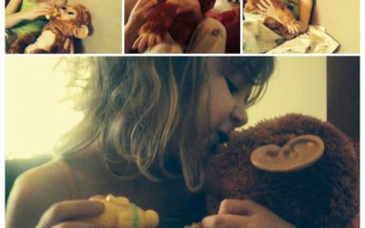 Povestea celei mai frumoase maimuțe…de jucărie