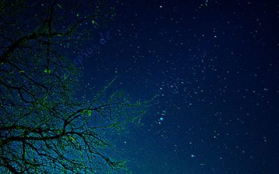 Stele căzătoare iarna aceasta – Geminidele