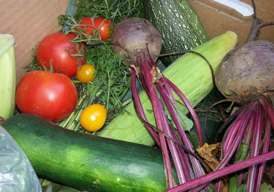 Coșul de legume sau cum îți poți comanda online legume sănătoase și gustoase