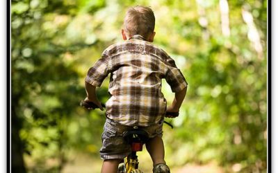 Dau o idee pentru un ghiozdan [Concurs]