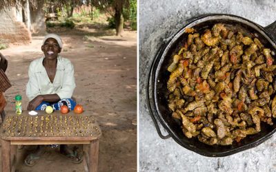 Ce gătesc bunicile din lumea întreagă
