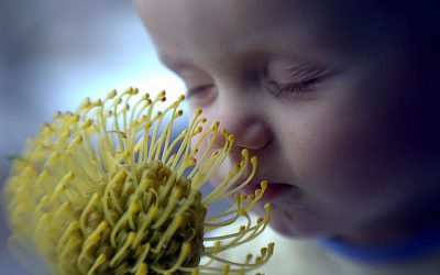 Cum crești un copil empatic?