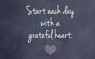 My 365 days of gratitude