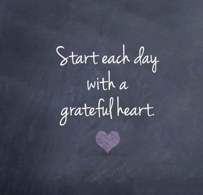 My 365 days of gratitude