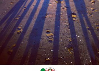 Viața pe îndelete ne dă întâlnire la Cărturești