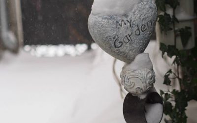 O familie, trei copii, natură, grădini, o meserie ca mod de viață