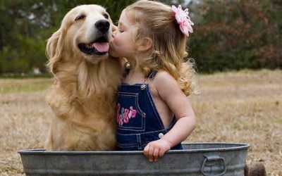 Recomandările de joi activități pentru copii și părinți (26 – 27 aprilie)