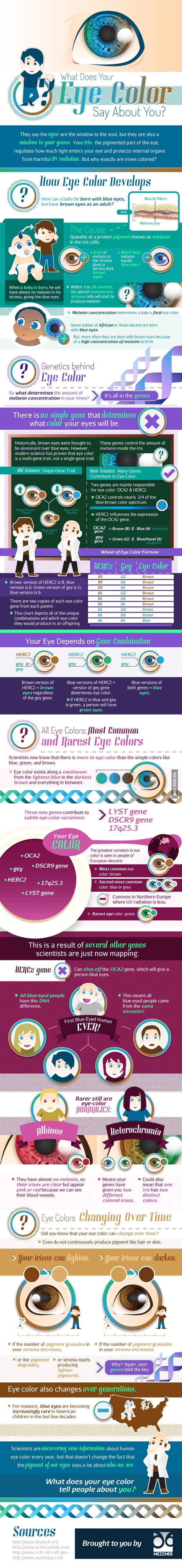 infografic culoarea ochilor
