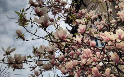 Week-end stylish la Predeal in familie – cum a fost