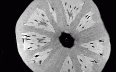 Atunci când copiilor le este frică de controale medicale