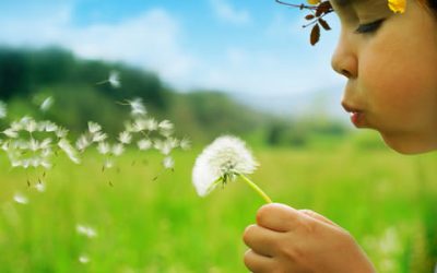 Recomandările de joi activități pentru copii și părinți (15 – 19 mai)