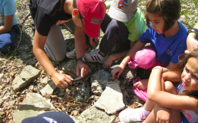 Tabără cu tâlc, pentru cercetași și despre orientare turistică