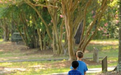 Studiu: copiii petrec prea puțin timp în natură