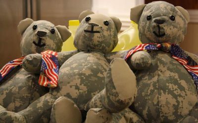 Ursuleți de pluș din amintiri neprețuite