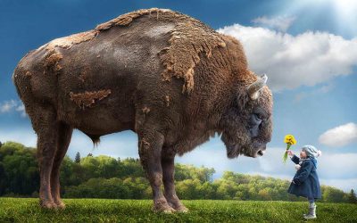 Un tătic creativ face fotografii incredibile copiilor