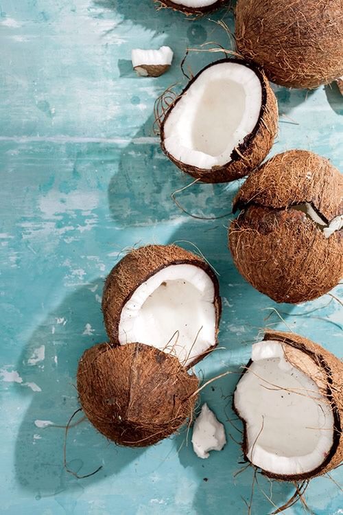 cocos