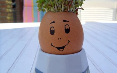 Ou cu păr, pardon, creson