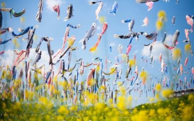 Recomandările de joi activități pentru copii și părinți (29 – 31 august)