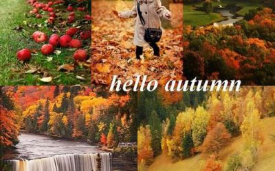 Recomandările de joi: activități pentru copii și părinți (27 – 29 septembrie)