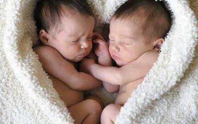 Recomandările de joi: activități pentru copii și părinți (16 – 17 ianuarie)