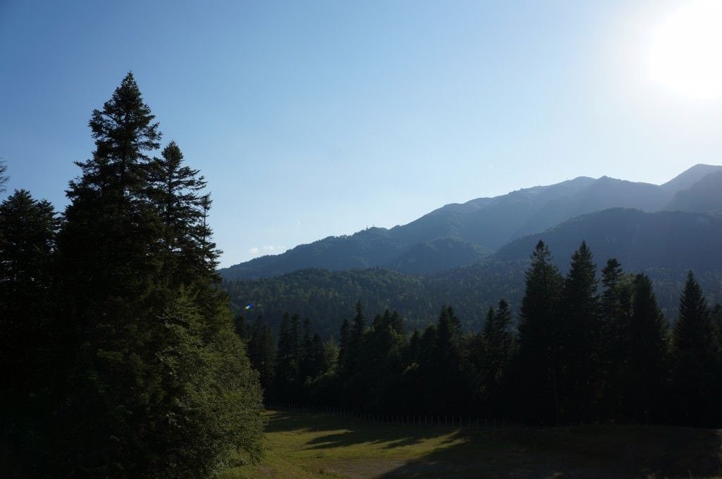 Mountain-View