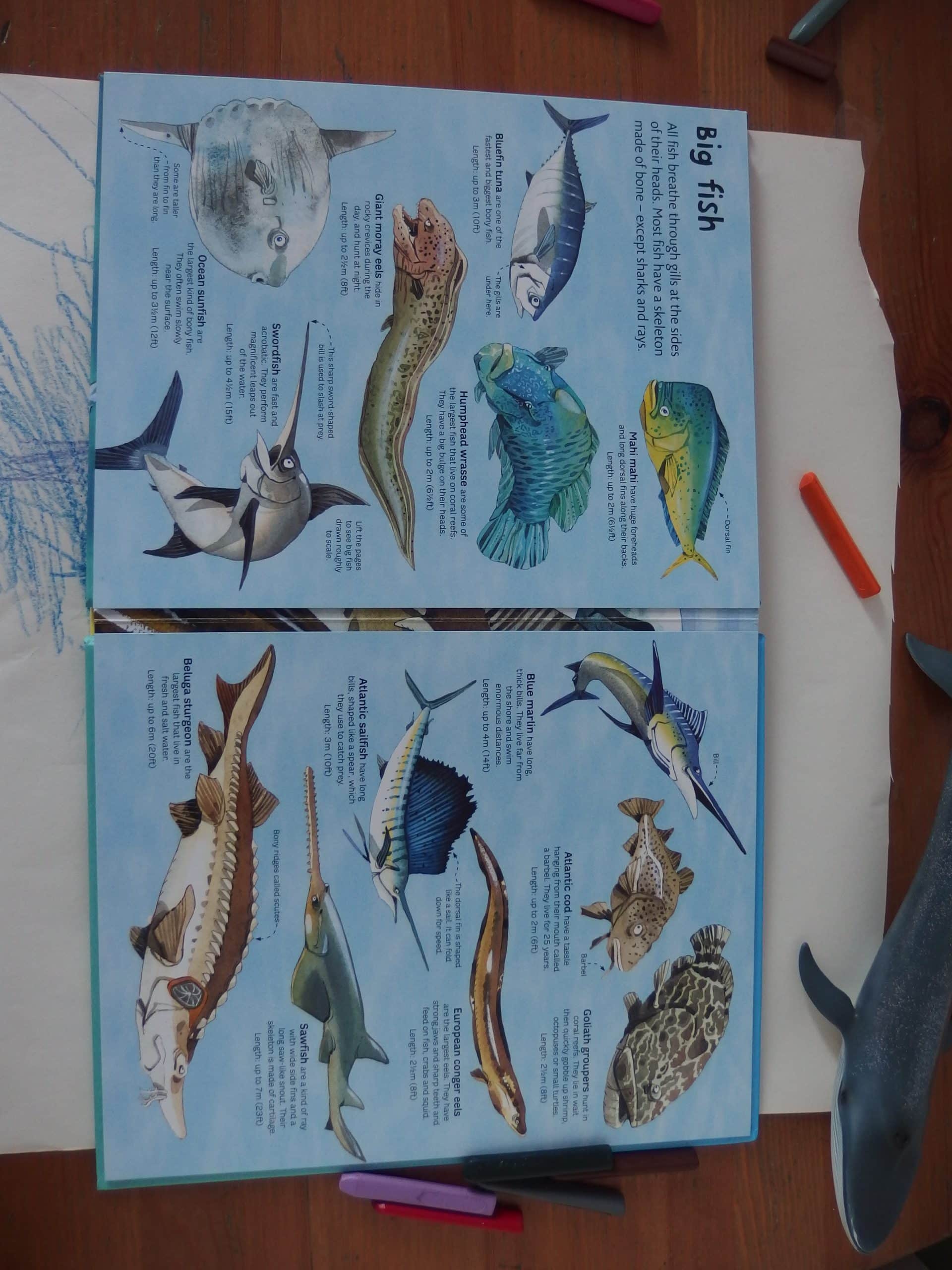 Picture 8