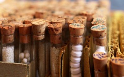 Potențialul homeopatiei – seminar cu Dr. Rajan Sankaran – 16 octombrie, la București
