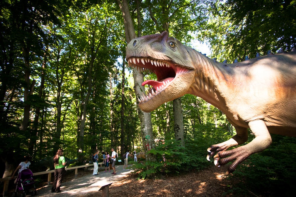 Dino Parc, Râșnov