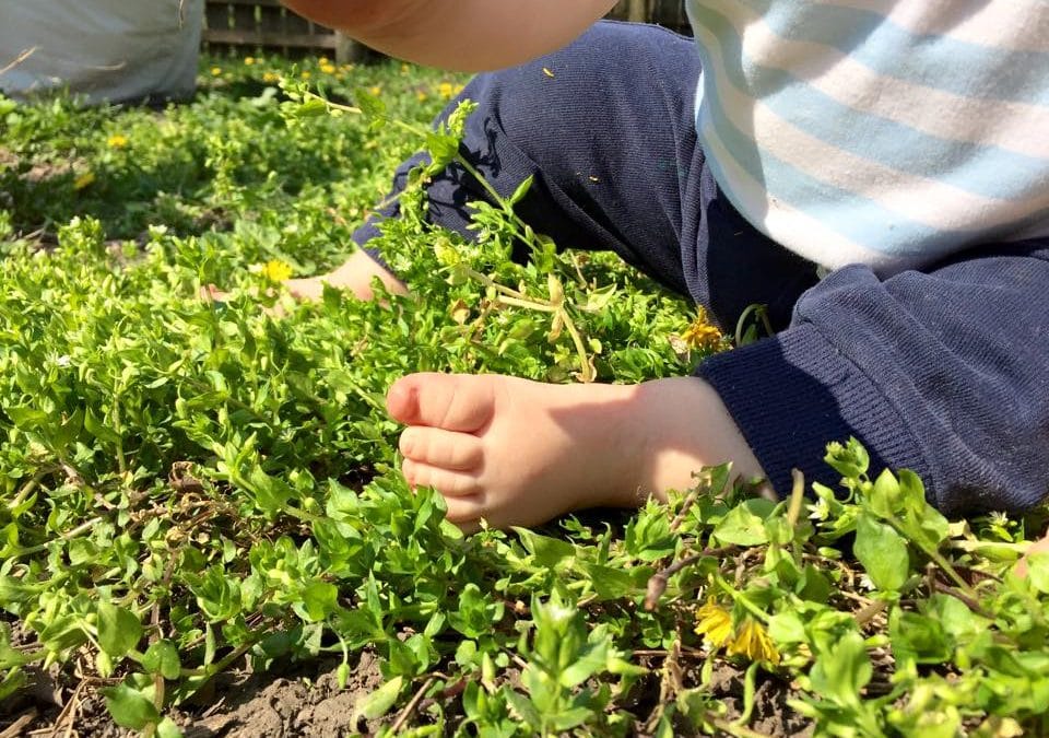 Cel mai frumos Paște e la mama acasă